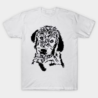 Labradoodle Face T-Shirt